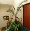 Hotel Angela z Gdańsk, ul.Beethowena 12